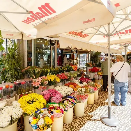 公寓 Casa Del Coleccionista By Cadiz4rentals 加的斯